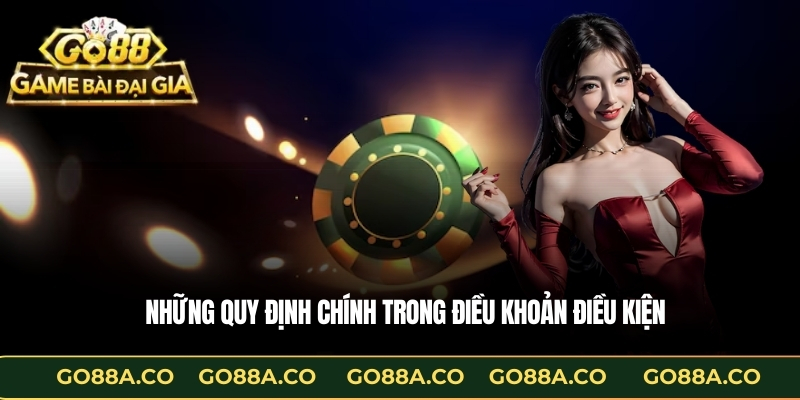 Những quy định chính trong Điều khoản điều kiện