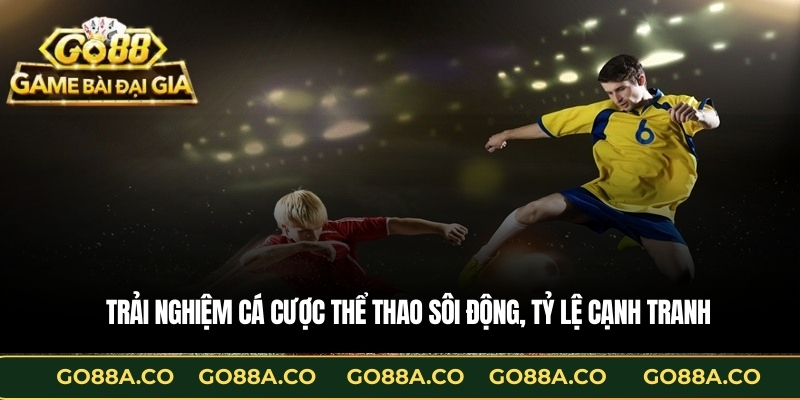 Trải nghiệm cá cược thể thao sôi động, tỷ lệ cạnh tranh