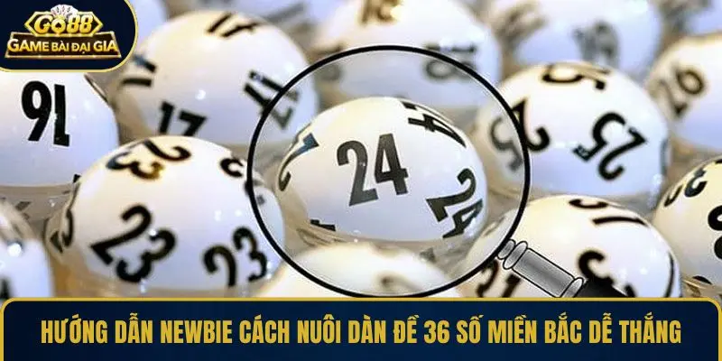 Hướng dẫn newbie cách nuôi dàn đề 36 số miền Bắc dễ thắng