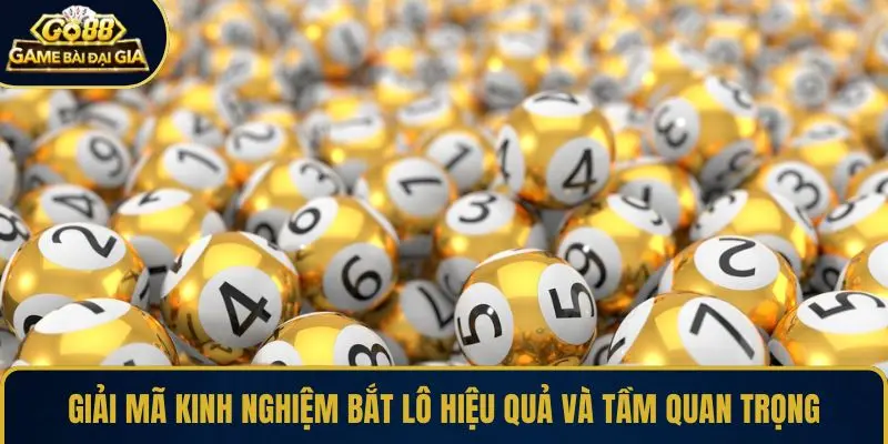 Giải mã kinh nghiệm bắt lô hiệu quả và tầm quan trọng 