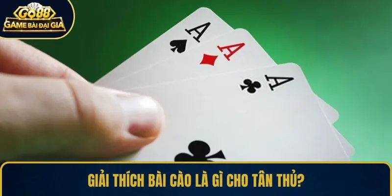 Giải thích bài cào là gì cho tân thủ?